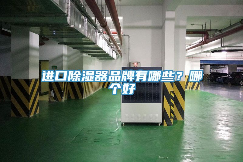 進口除濕器品牌有哪些？哪個好