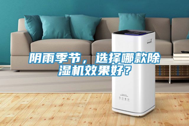 陰雨季節(jié)，選擇哪款除濕機(jī)效果好？