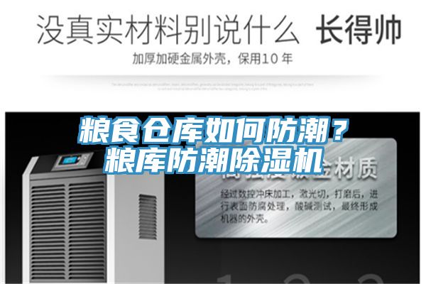 糧食倉(cāng)庫(kù)如何防潮？糧庫(kù)防潮除濕機(jī)