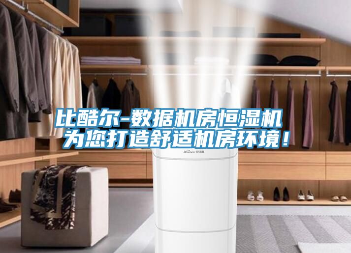 比酷爾-數(shù)據(jù)機(jī)房恒濕機(jī) 為您打造舒適機(jī)房環(huán)境！