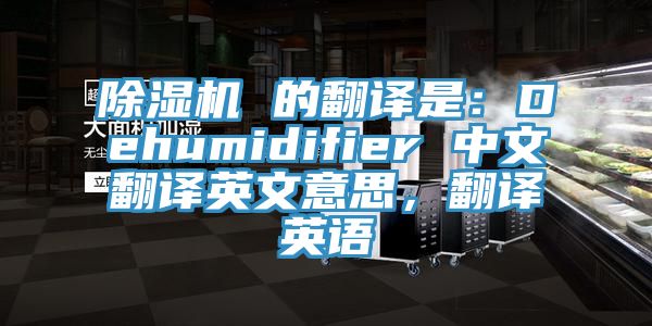 除濕機(jī) 的翻譯是：Dehumidifier 中文翻譯英文意思，翻譯英語