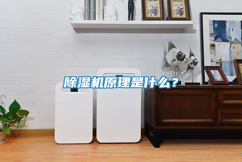 除濕機(jī)原理是什么？