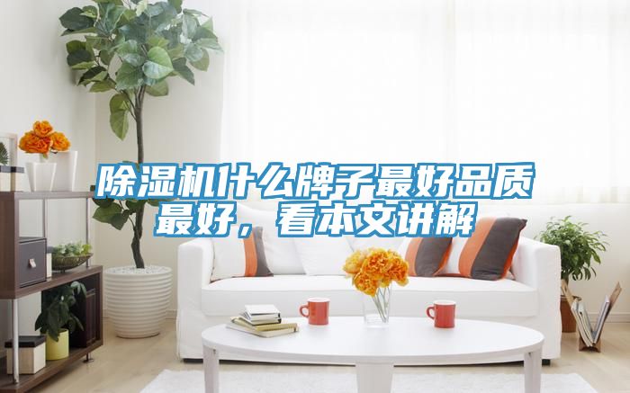 除濕機(jī)什么牌子最好品質(zhì)最好，看本文講解