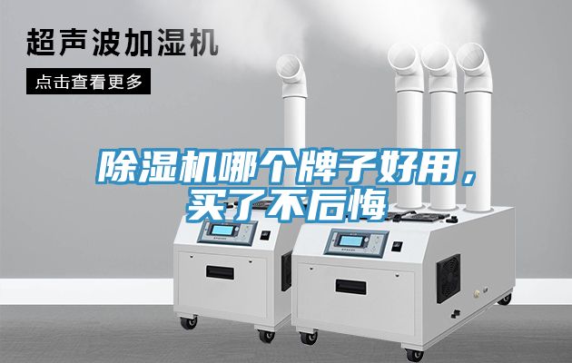 除濕機(jī)哪個(gè)牌子好用，買了不后悔