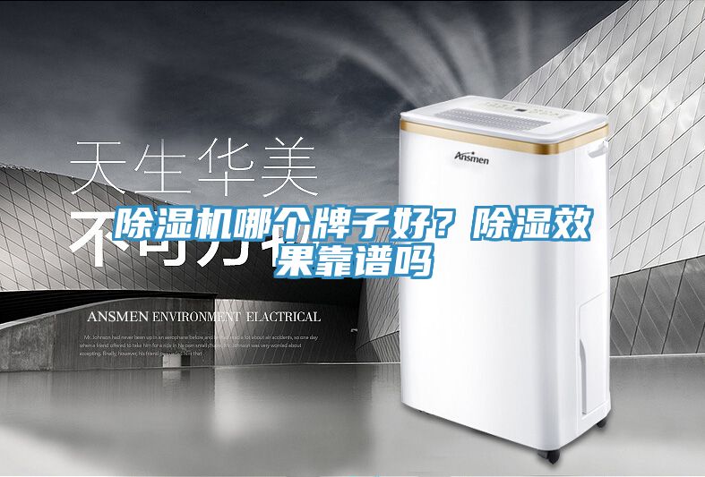 除濕機(jī)哪個牌子好？除濕效果靠譜嗎