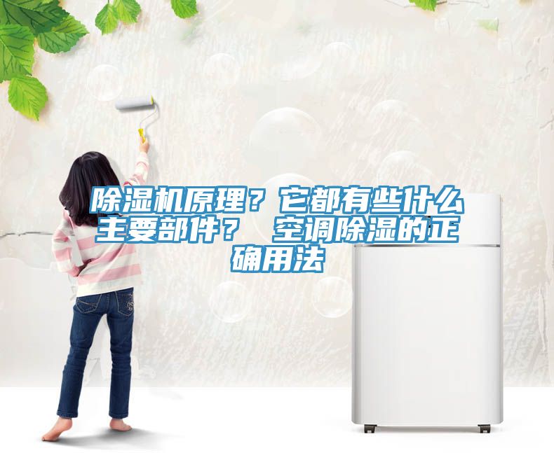 除濕機(jī)原理？它都有些什么主要部件？ 空調(diào)除濕的正確用法