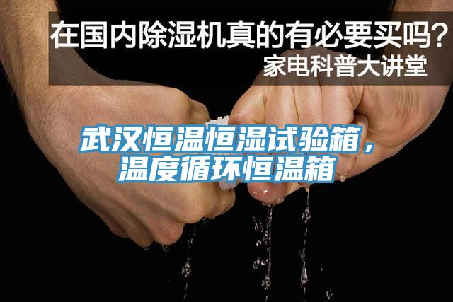 武漢恒溫恒濕試驗箱，溫度循環(huán)恒溫箱