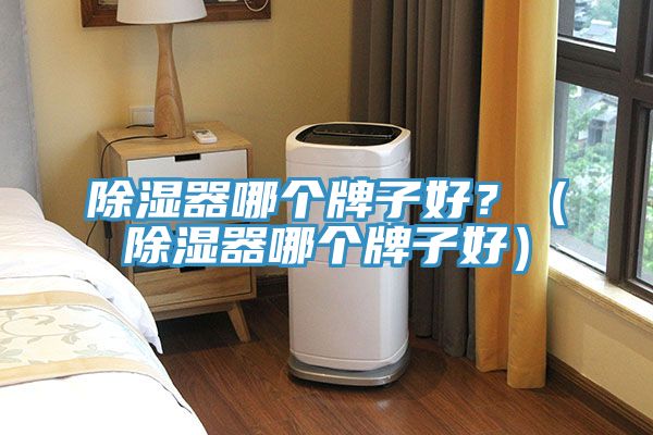 除濕器哪個(gè)牌子好？（除濕器哪個(gè)牌子好）
