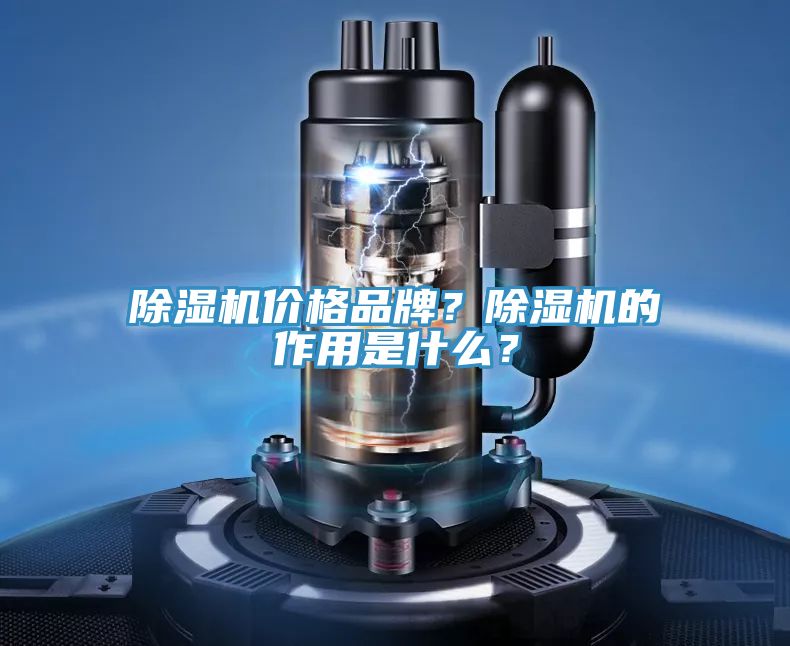 除濕機(jī)價格品牌？除濕機(jī)的作用是什么？