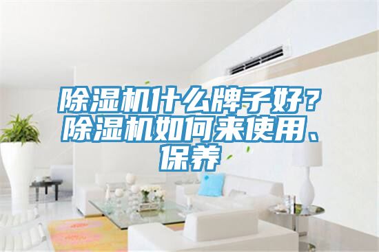 除濕機(jī)什么牌子好？除濕機(jī)如何來(lái)使用、保養(yǎng)