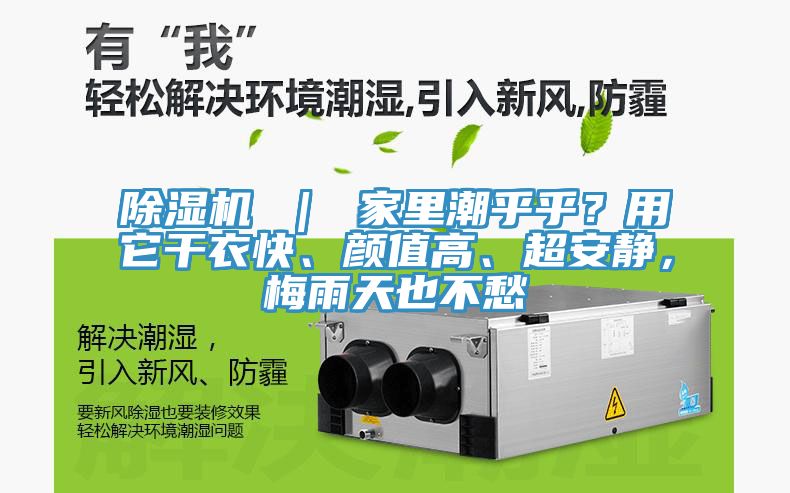 除濕機 ｜ 家里潮乎乎？用它干衣快、顏值高、超安靜，梅雨天也不愁
