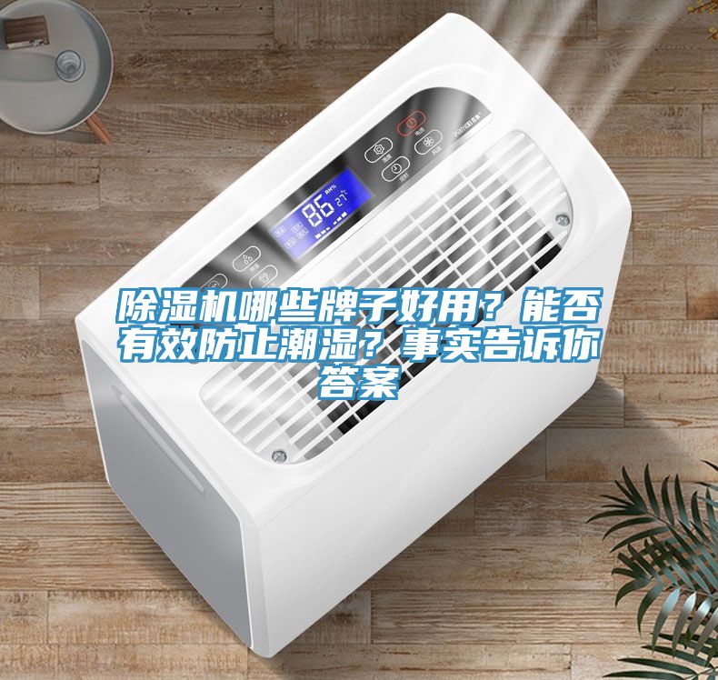 除濕機(jī)哪些牌子好用？能否有效防止潮濕？事實(shí)告訴你答案