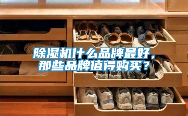 除濕機什么品牌最好，那些品牌值得購買？