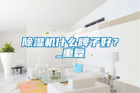 除濕機(jī)什么牌子好？_重復(fù)