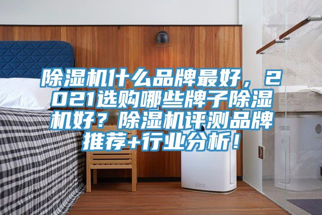 除濕機什么品牌最好，2021選購哪些牌子除濕機好？除濕機評測品牌推薦+行業(yè)分析！