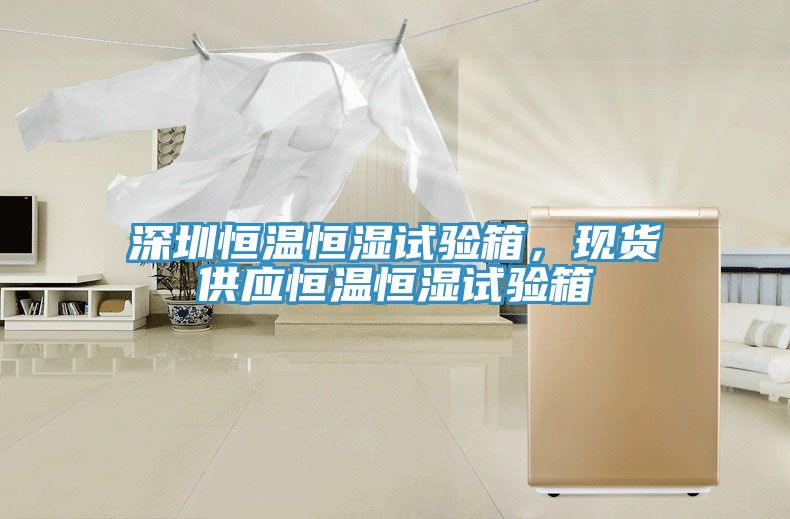 深圳恒溫恒濕試驗箱，現(xiàn)貨供應(yīng)恒溫恒濕試驗箱