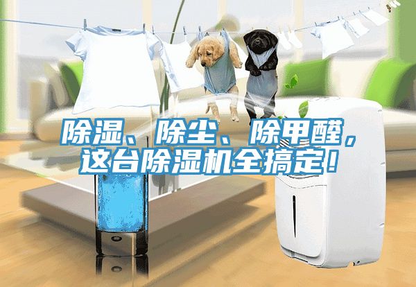 除濕、除塵、除甲醛，這臺除濕機全搞定！