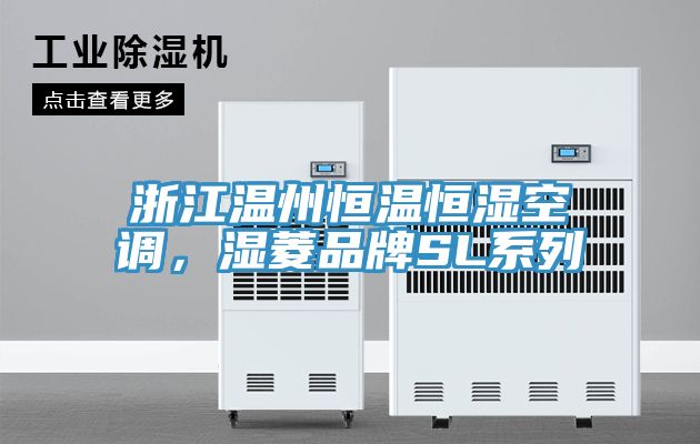 浙江溫州恒溫恒濕空調(diào)，濕菱品牌SL系列