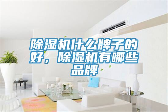 除濕機什么牌子的好，除濕機有哪些品牌
