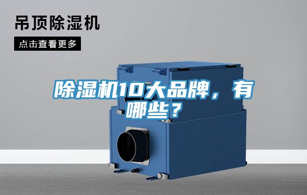 除濕機10大品牌，有哪些？