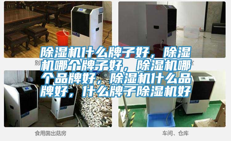 除濕機(jī)什么牌子好，除濕機(jī)哪個(gè)牌子好，除濕機(jī)哪個(gè)品牌好，除濕機(jī)什么品牌好，什么牌子除濕機(jī)好