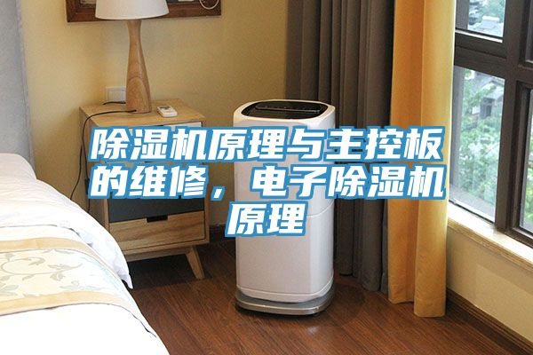 除濕機(jī)原理與主控板的維修，電子除濕機(jī)原理