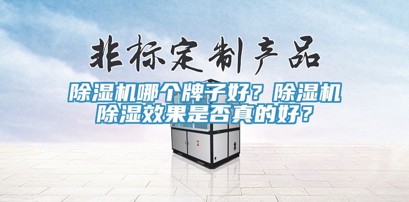 除濕機(jī)哪個牌子好？除濕機(jī)除濕效果是否真的好？