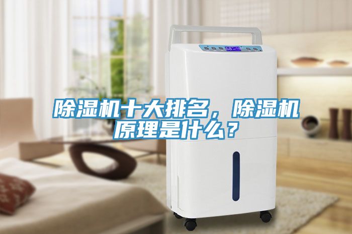 除濕機十大排名，除濕機原理是什么？
