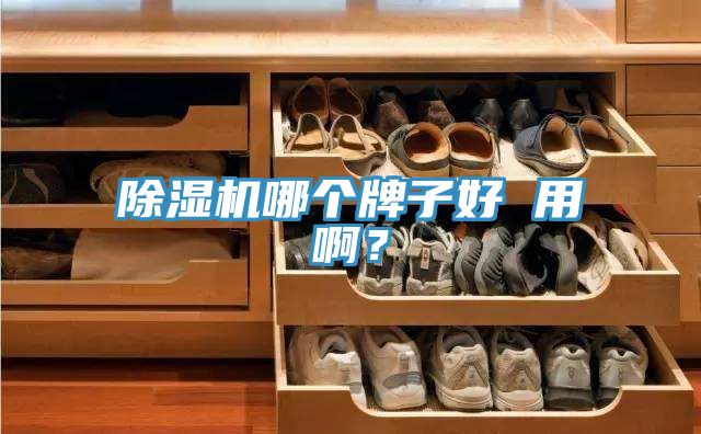 除濕機(jī)哪個(gè)牌子好 用啊？