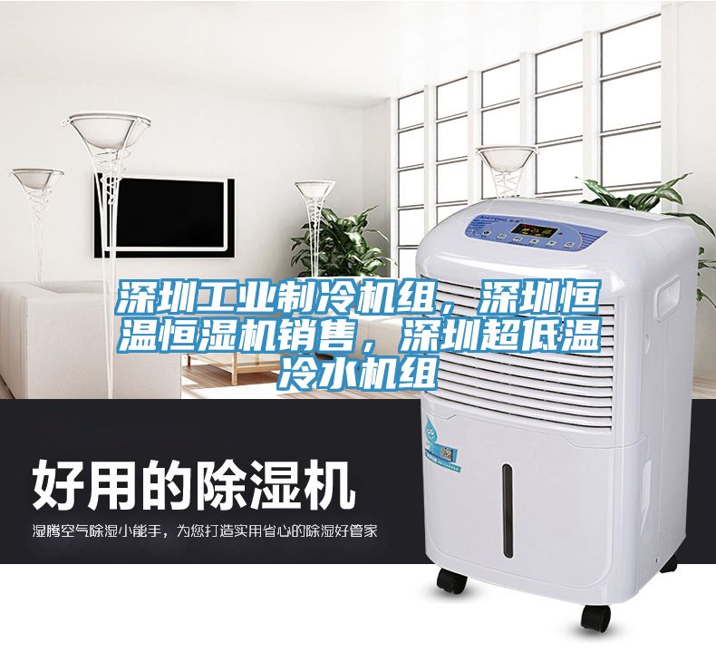 深圳工業(yè)制冷機組，深圳恒溫恒濕機銷售，深圳超低溫冷水機組