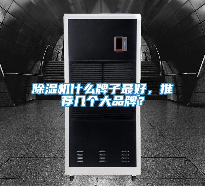 除濕機什么牌子最好，推薦幾個大品牌？