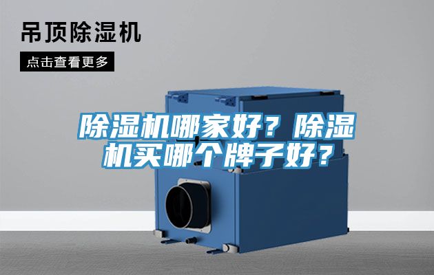除濕機(jī)哪家好？除濕機(jī)買哪個(gè)牌子好？