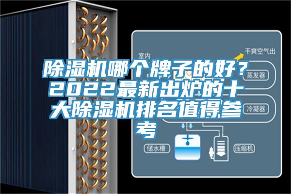 除濕機(jī)哪個(gè)牌子的好？2022最新出爐的十大除濕機(jī)排名值得參考