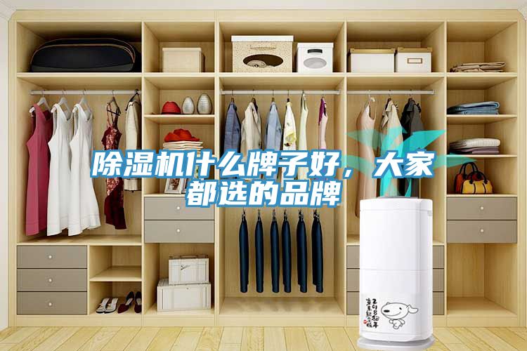 除濕機(jī)什么牌子好，大家都選的品牌