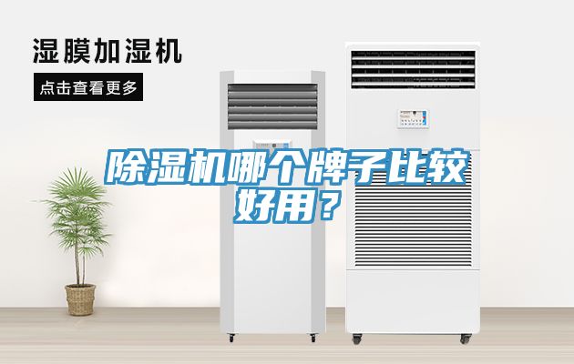 除濕機(jī)哪個(gè)牌子比較好用？