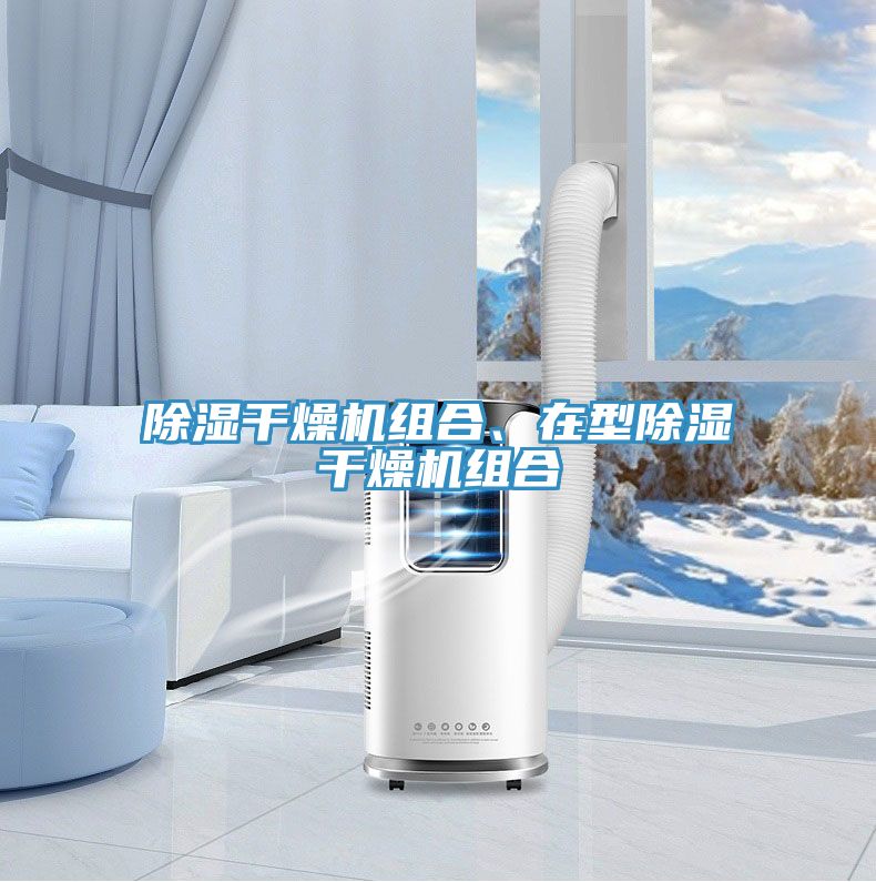 除濕干燥機(jī)組合、在型除濕干燥機(jī)組合