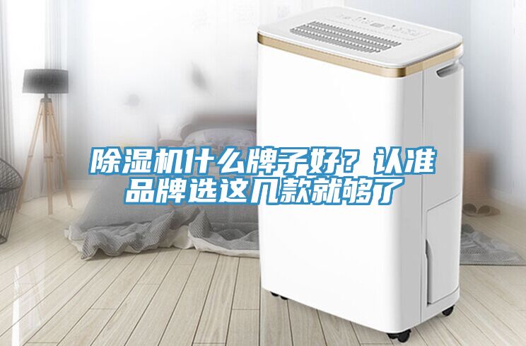 除濕機什么牌子好？認準品牌選這幾款就夠了