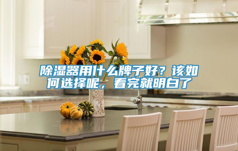 除濕器用什么牌子好？該如何選擇呢，看完就明白了
