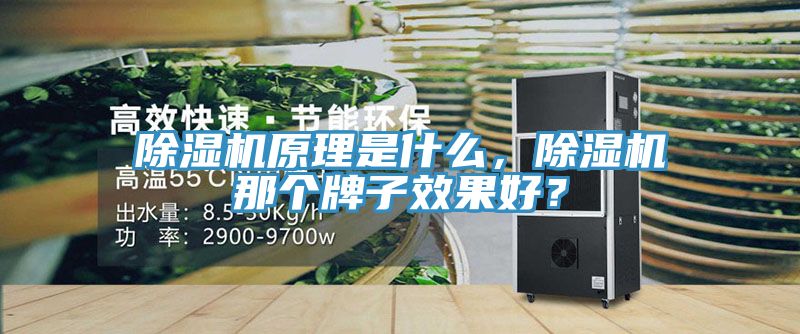 除濕機(jī)原理是什么，除濕機(jī)那個(gè)牌子效果好？