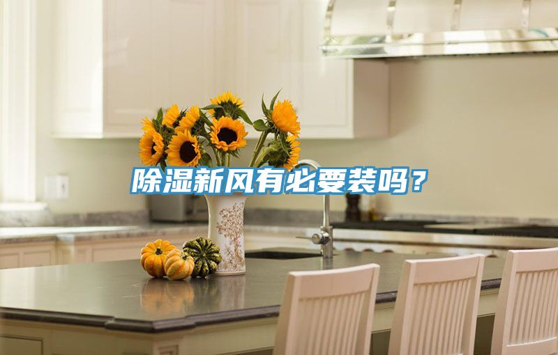 除濕新風(fēng)有必要裝嗎？
