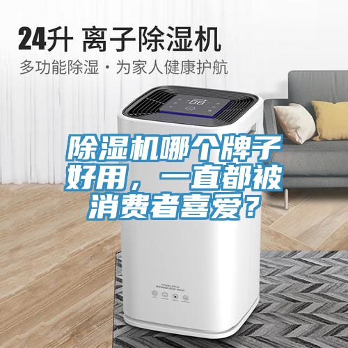 除濕機(jī)哪個(gè)牌子好用，一直都被消費(fèi)者喜愛？