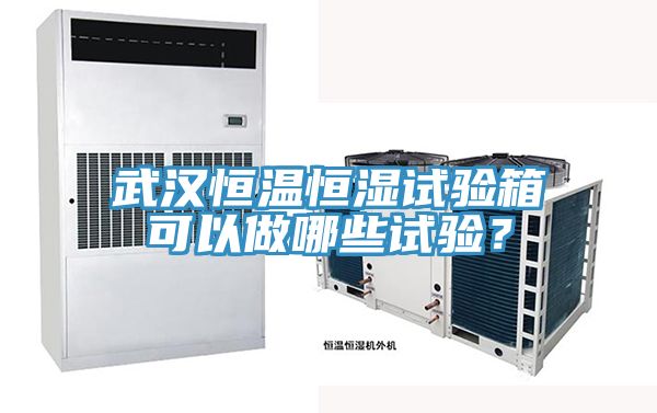 武漢恒溫恒濕試驗箱可以做哪些試驗？