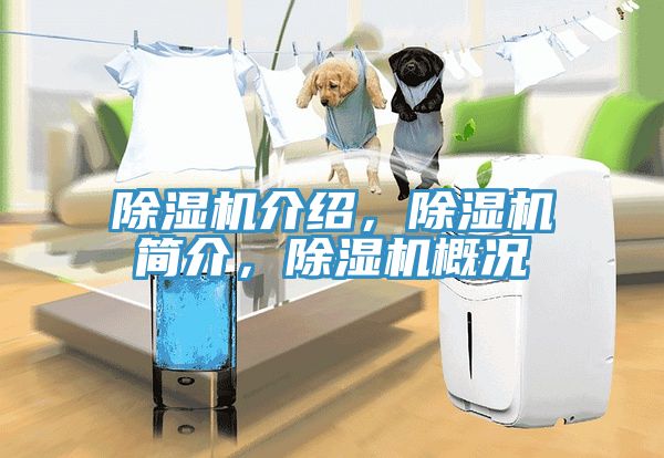 除濕機(jī)介紹，除濕機(jī)簡(jiǎn)介，除濕機(jī)概況