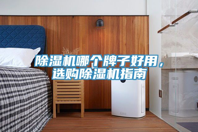 除濕機(jī)哪個(gè)牌子好用，選購除濕機(jī)指南