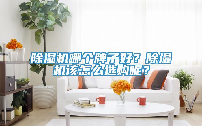 除濕機(jī)哪個牌子好？除濕機(jī)該怎么選購呢？