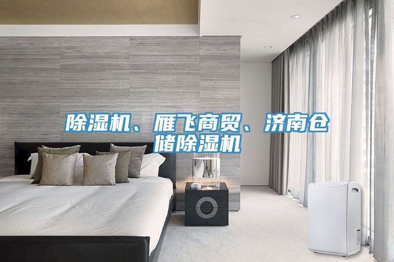 除濕機、雁飛商貿(mào)、濟(jì)南倉儲除濕機