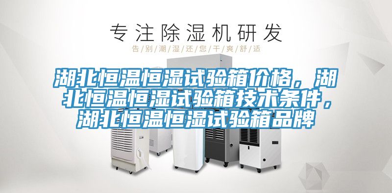 湖北恒溫恒濕試驗箱價格，湖北恒溫恒濕試驗箱技術(shù)條件，湖北恒溫恒濕試驗箱品牌