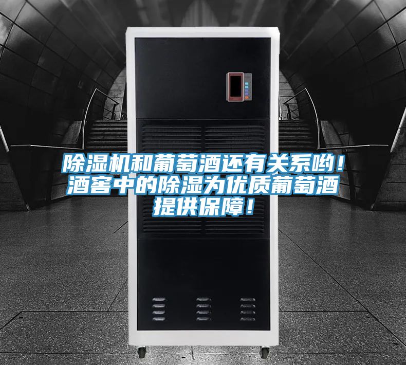 除濕機(jī)和葡萄酒還有關(guān)系喲！酒窖中的除濕為優(yōu)質(zhì)葡萄酒提供保障！