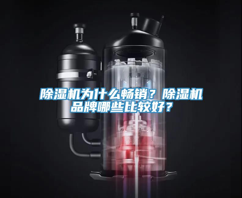 除濕機(jī)為什么暢銷(xiāo)？除濕機(jī)品牌哪些比較好？