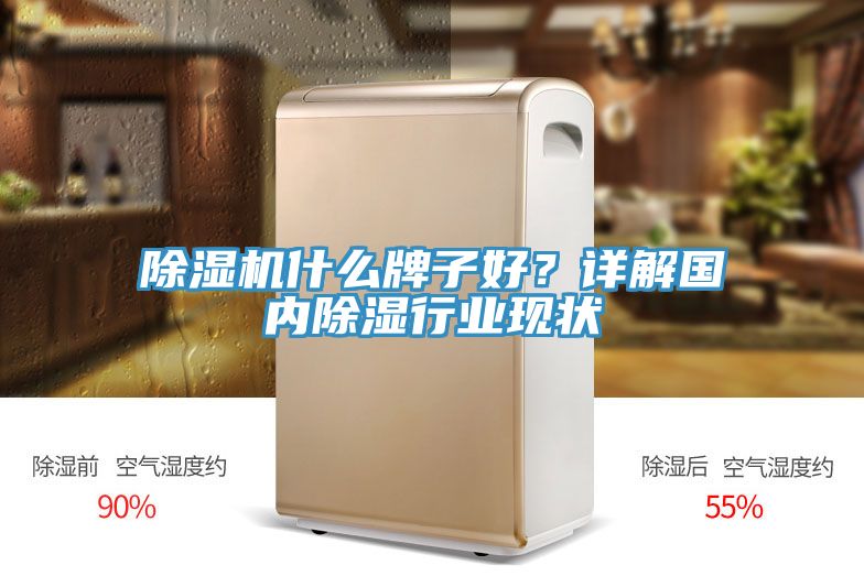 除濕機(jī)什么牌子好？詳解國(guó)內(nèi)除濕行業(yè)現(xiàn)狀
